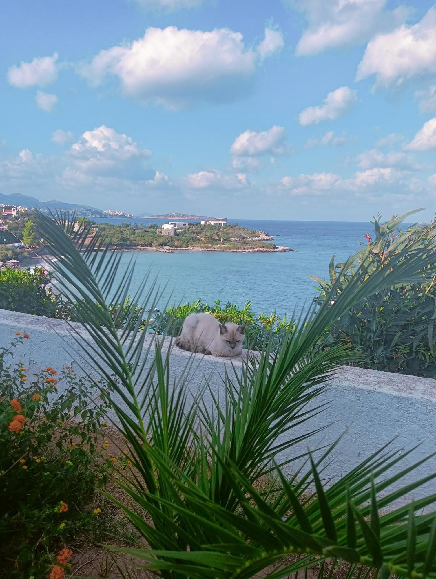Residence Gerani Amoudara  Екстер'єр фото